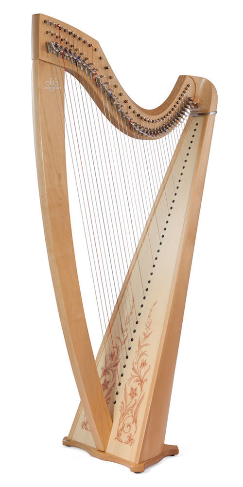 縮圖：CAMAC Isolde Celtic or Classic 38st