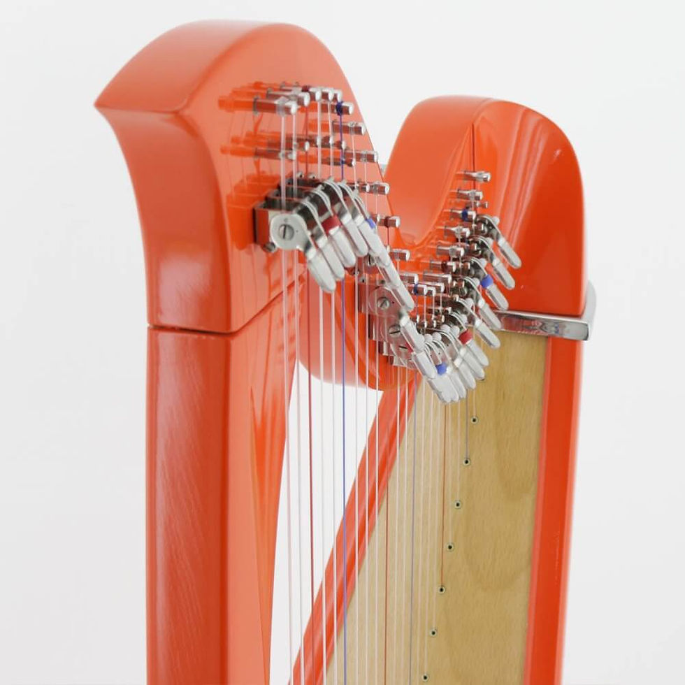 縮圖：Mikel Harp: Saffron 22st