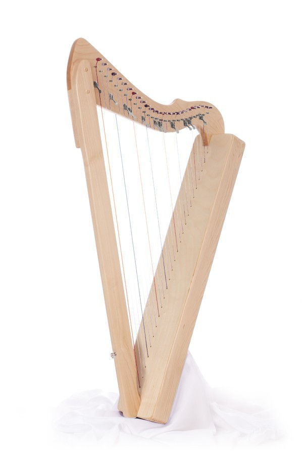 縮圖：Flatsicle Harp