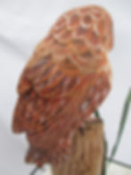 Thumbnail: Eastern Screech Owl - Red Phase; Title: Sleepy