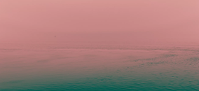 elliot-mann-627081-unsplash.webp