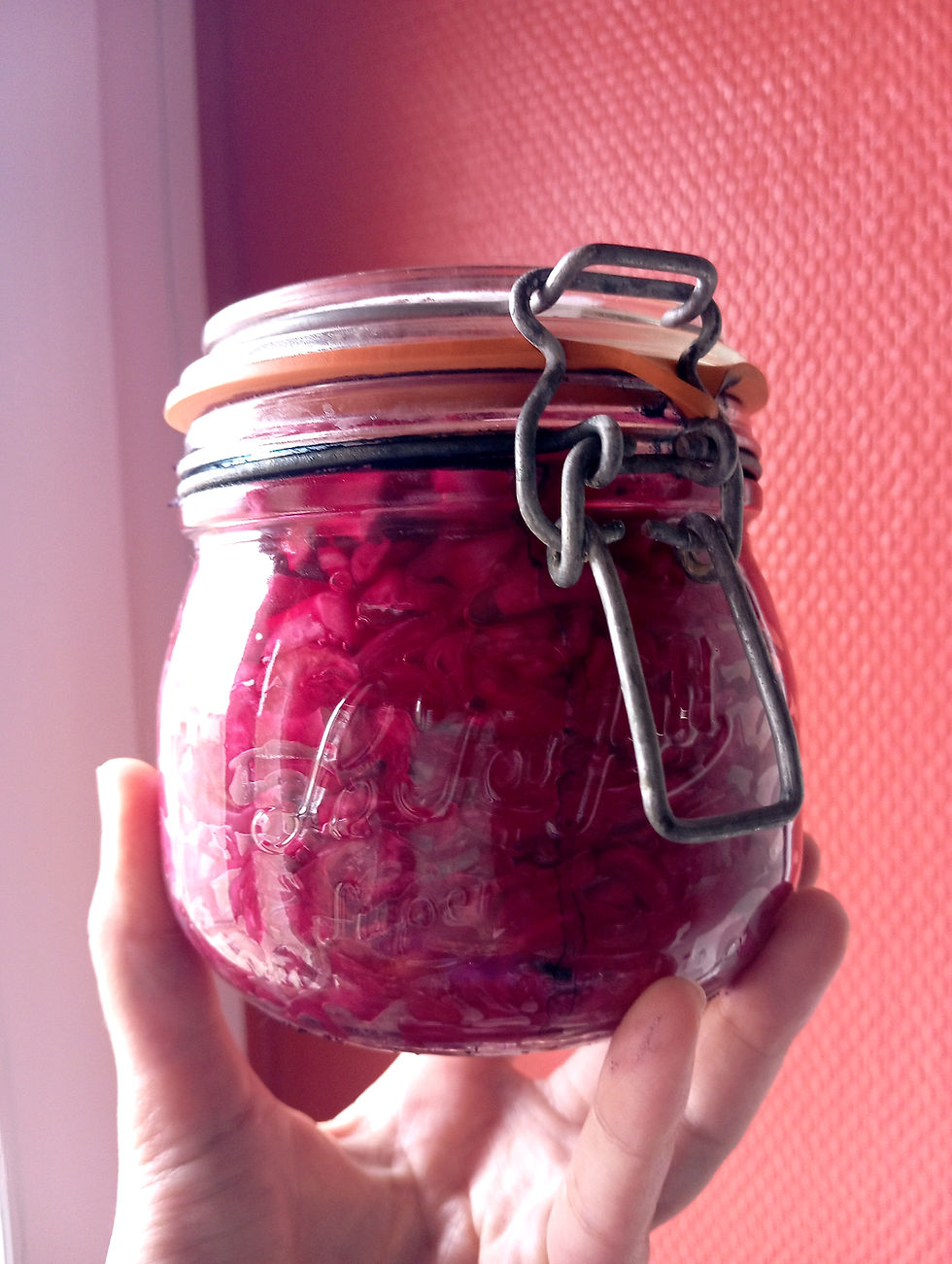 bocal chou rouge fermenté aux épices