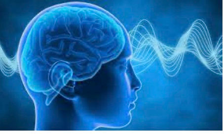 Breaking Boundaries in Autism Care: The MeRT Debate