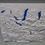 Miniaturbild: Obertrumer See bis Toplitzsee inkl. Dachstein
