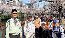 大岡川花見 写真(その2).jpg