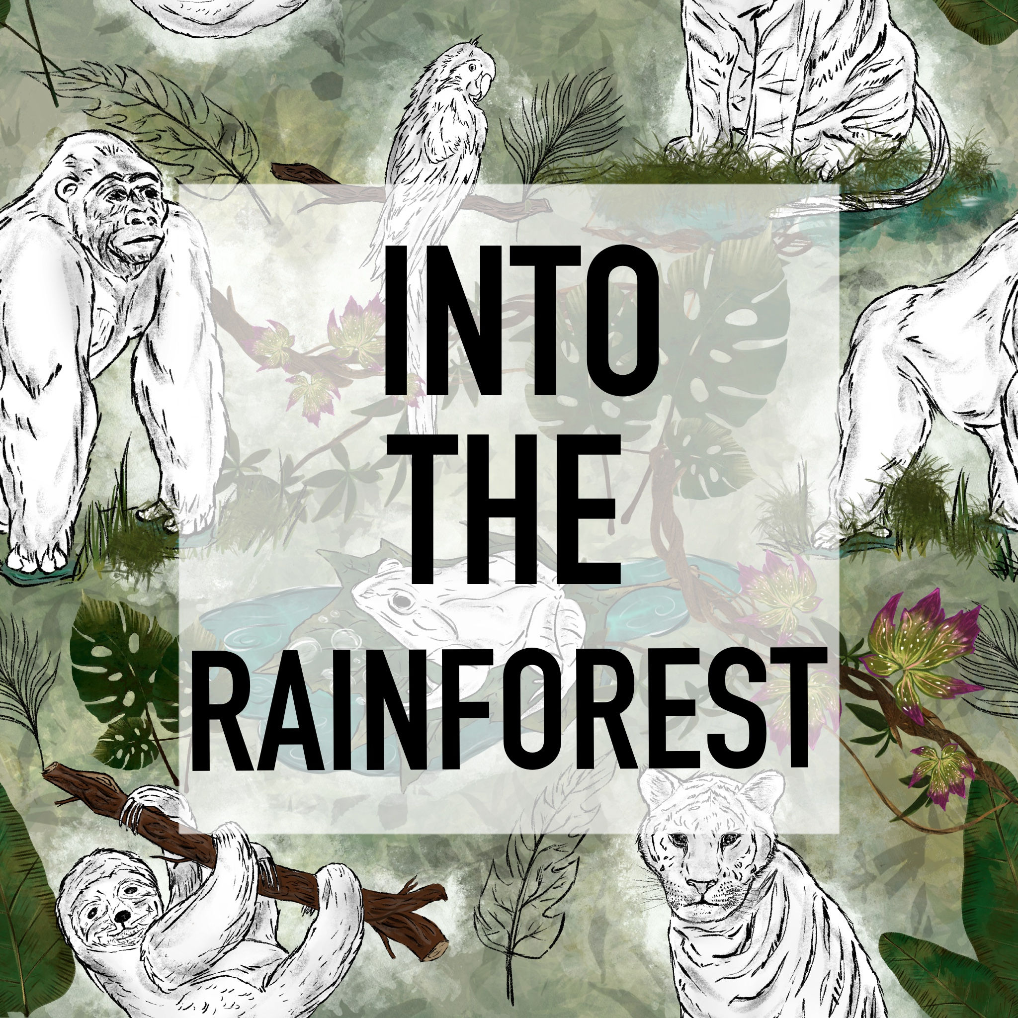 Into The Rainforest