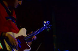 Vincie D & The Sensations