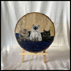 Cats
