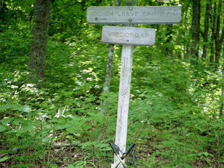 Day 4: Low Gap Shelter to Deep Gap Shelter (22.0 miles)