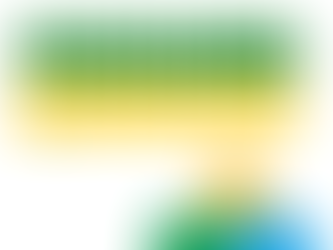 코인재단/가상자산재단 해외법인설립, 차명이사 서비스