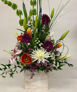 Flowers - Nicole Stewart Photo