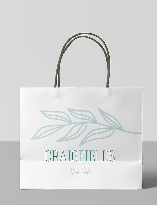 Paper Shopping Bags Mockup.jpg