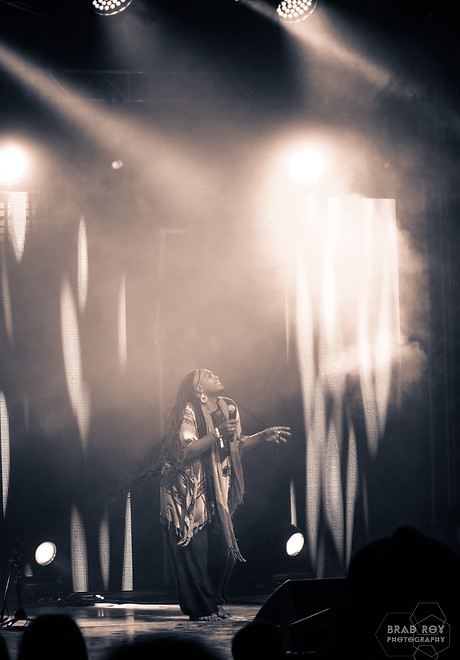 Brad Roy Photography23.jpg