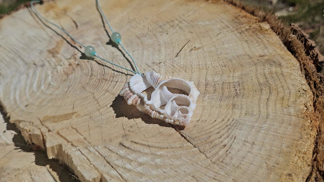 Miniaturbild: Zomers collier met open gewerkte schelp.