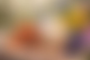 A jar of tallow on a wooden table with sea buckthorn, almonds, and colorful spring flowers. Bright daylight and blurred greenery background.