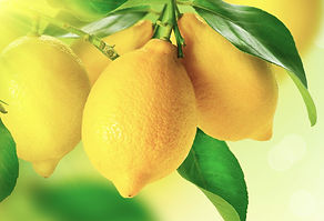 lemon.jpg