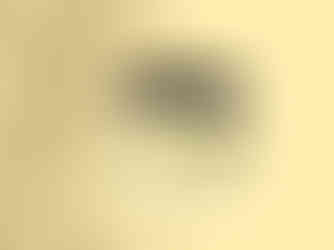 Organic Frankincense Face Natural Sunscreen