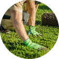 11zon_cropped (1).png