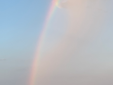 Effects of Divorce on Children                                        
10 Consistent Research  Findings (1994-2024)