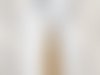Review Camel Solid Color Neck Tie