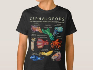 Hot Review! The Cephalopod Octopus Squid Cuttlefish T-Shirt