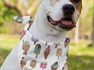 Big Deals! Fun Dessert Ice Cream Bandana