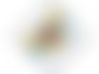 Review US Virgin Islands Flag USVI St. Croix St. Thomas Bandana