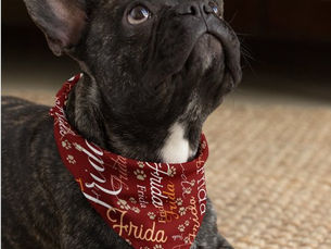 Hot Review! Repeating Dog Name and Paw Prints allover Bandana
