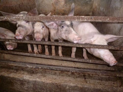 exn-Z4dxiPMtz-BqWlfPtHCoeNqsSbDb5PM1BHunNOw