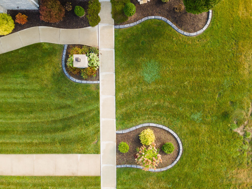 arial view of residential landscaping