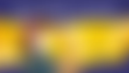 Update - November 18