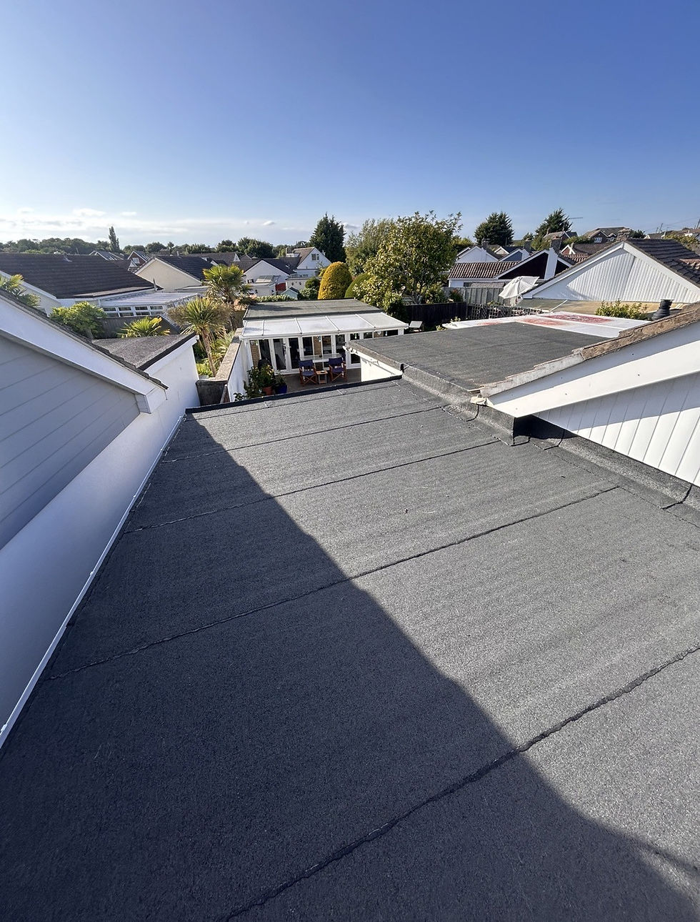 annes roof.jpg