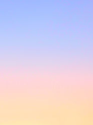 Wallpaper _edited_edited.jpg
