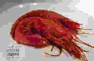 20190313_212428-01