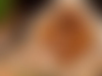 LAPIZKA, COMIDA CASERA A DOMICILIO COMO LA DE MAMÁ