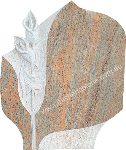 DS-H009