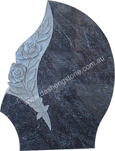 DS-H008