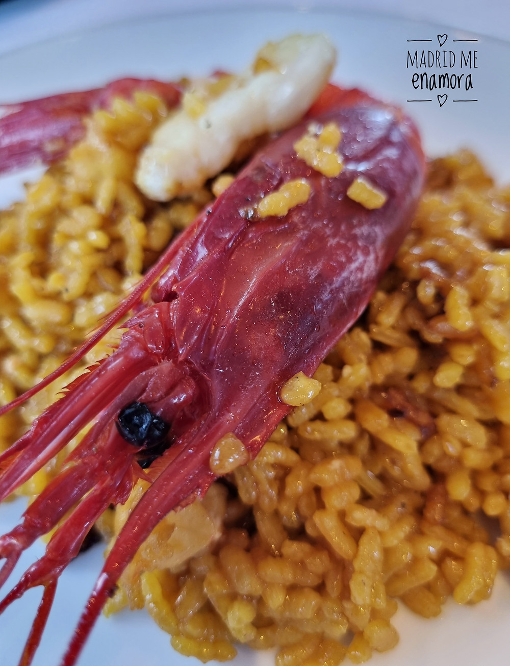 Si te gusta comer un buen arroz tienes que probar los de Tria.