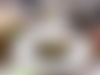 GO FOOD, COMIDA A DOMICILIO SABROSA, SANA Y SOSTENIBLE