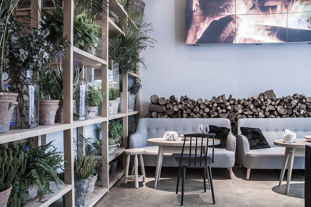 AIRE, UN SORPRENDENTE VUELO POR EL MUNDO DE LAS AVES EN UN RESTAURANTE