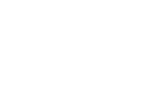 New Project (4).png