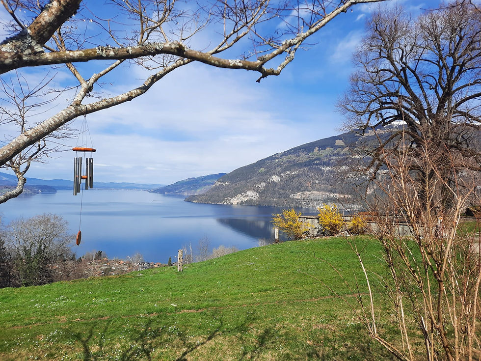 Yoga. Atem. Bewegung.