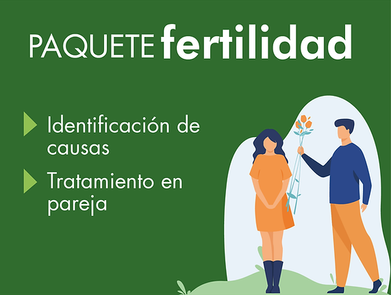 1_Mesa de trabajo 1 copia 4.png