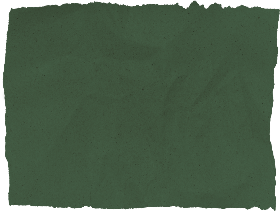 Information is everywhere. Understanding is rare.-18.png