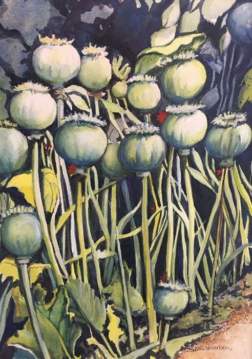 Monet’s poppies.jpg