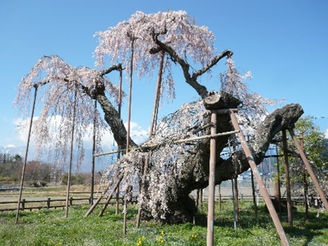 【3】神木としての「1」