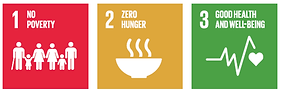 UN Sustainable Development Goals icons.j