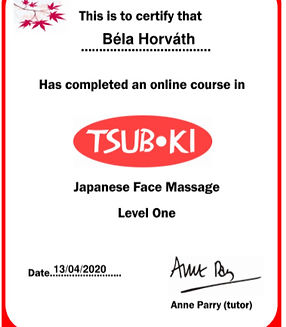 Horváth Béla - Tsuboki_edited.jpg