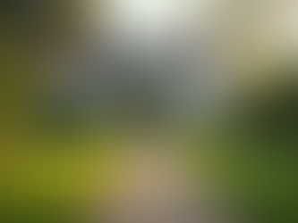 How to Maximize Your Property's Potential with Expert Advice