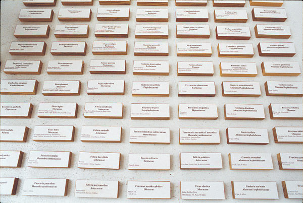 Thumbnail: Garden of Words I